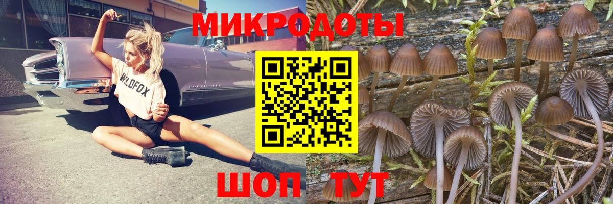 Псилоцибиновые грибы Magic Shrooms Губкинский