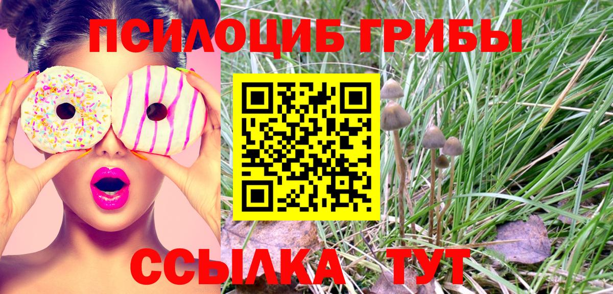 Губкинский  Псилоцибиновые грибы GOLDEN TEACHER  Вход с VPN 
